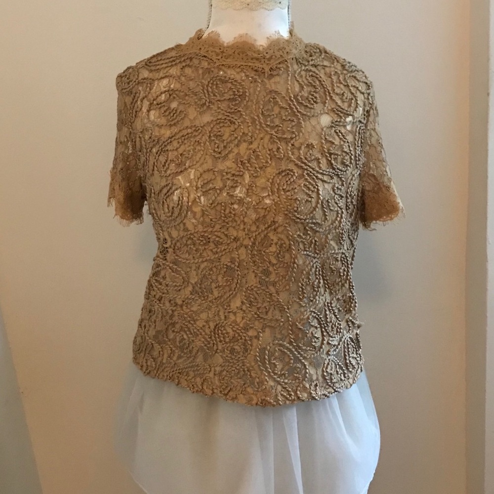 Zara Trafaluc gold lace embroidery blouse